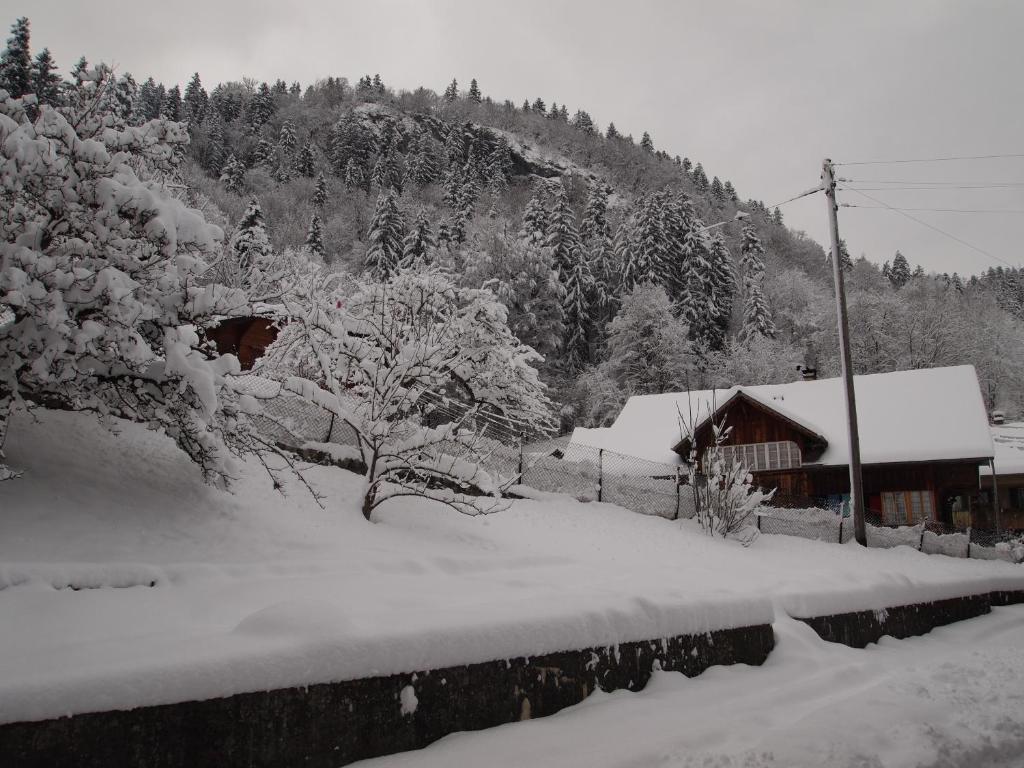 Hotel Simmental Boltigen Extérieur photo
